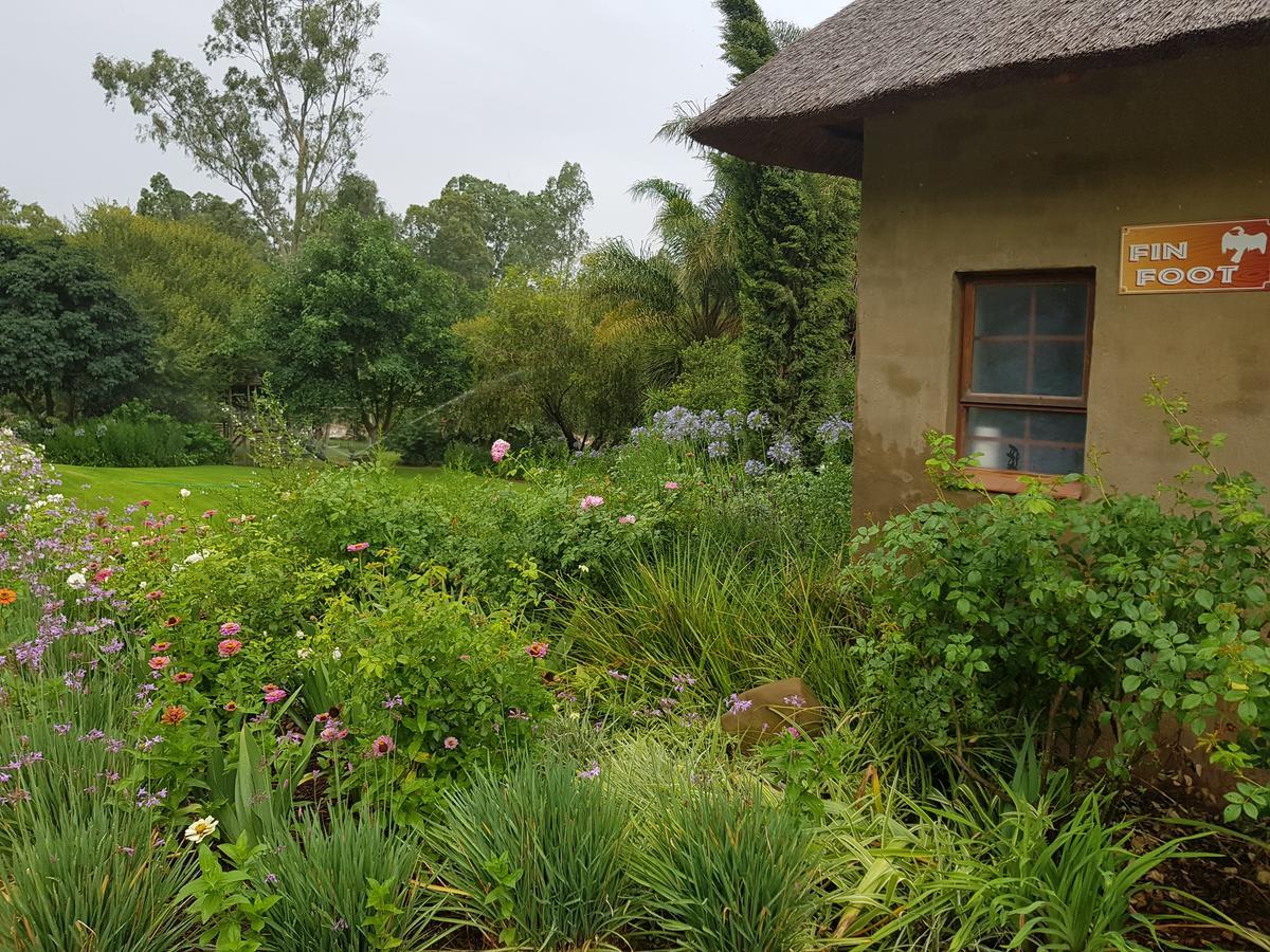 Avoca River Cabins Addo Luaran gambar